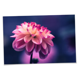 Fotografía 30x20 cm (1)